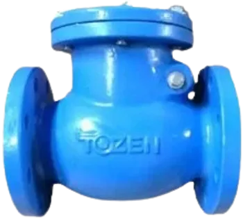 Tozen Check Valve